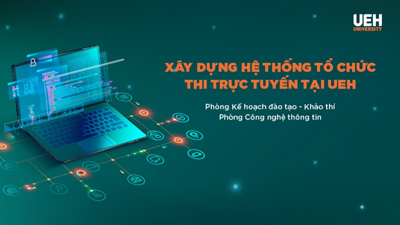 cá cược thể thao hul city